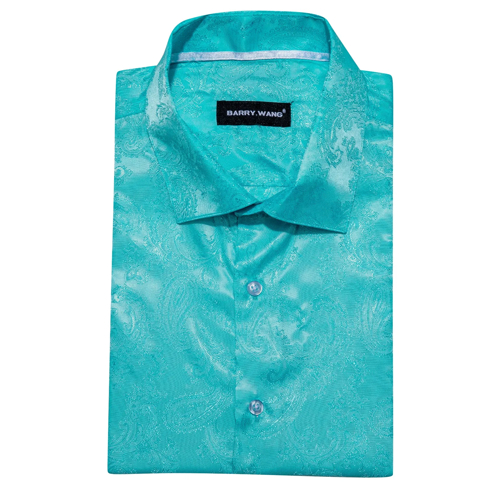 Barry Wang Cyan Paisley Shirt Vintage Aqua Paisley Silk Men's Shirt