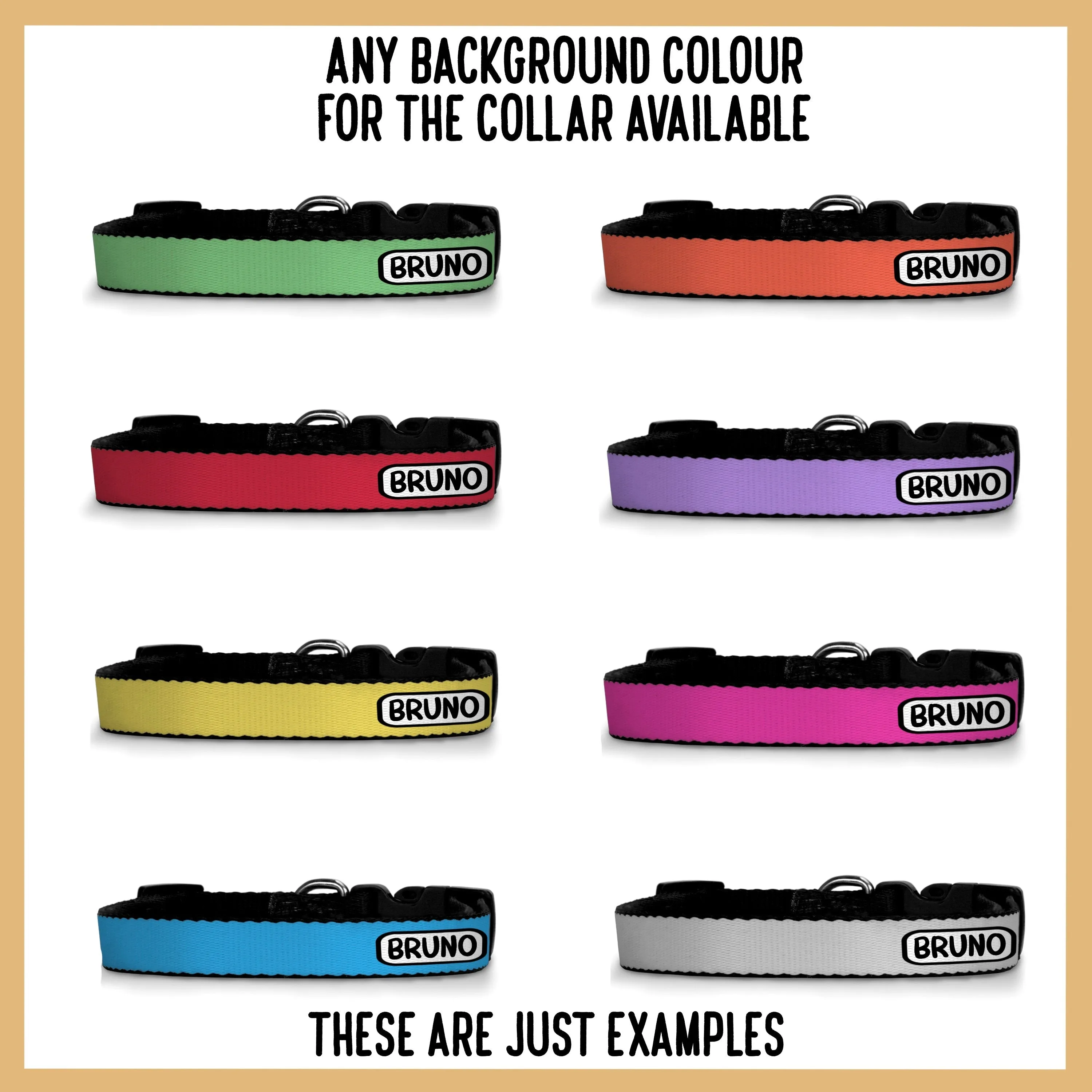 Bernedoodle Collar