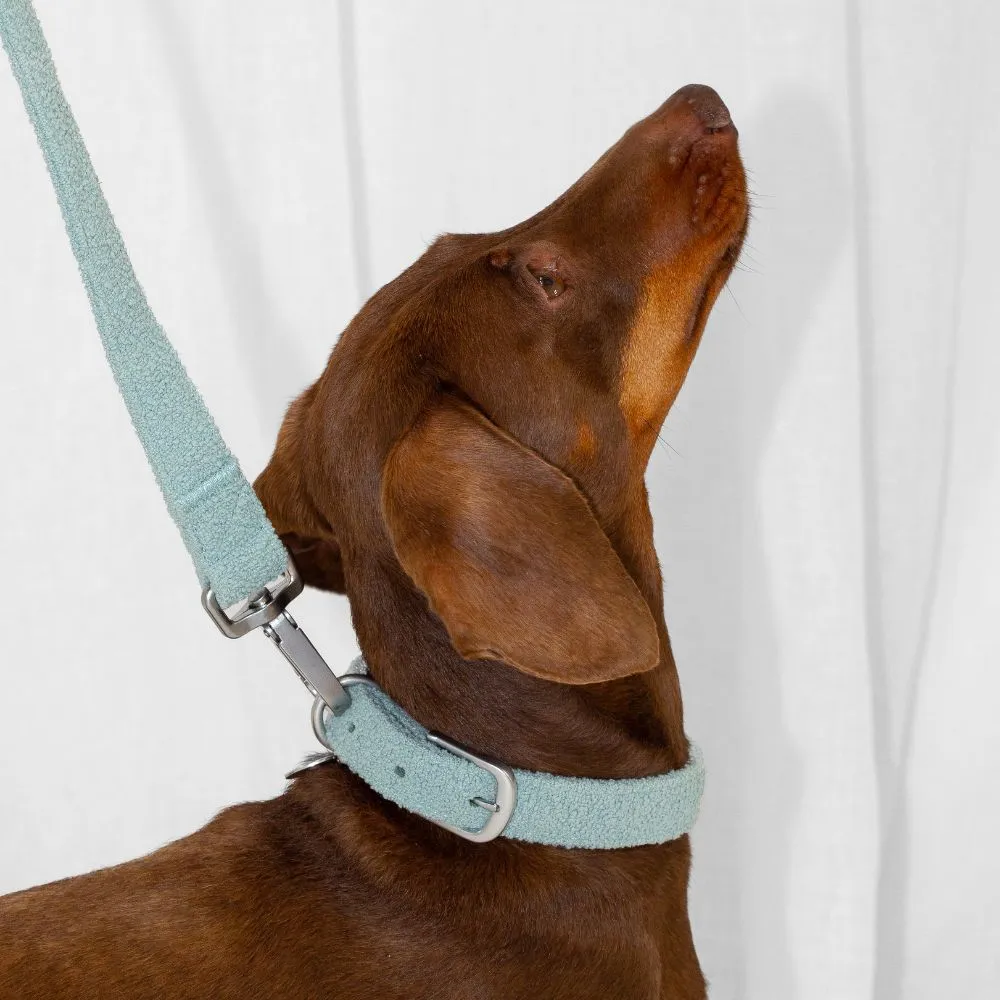 collars