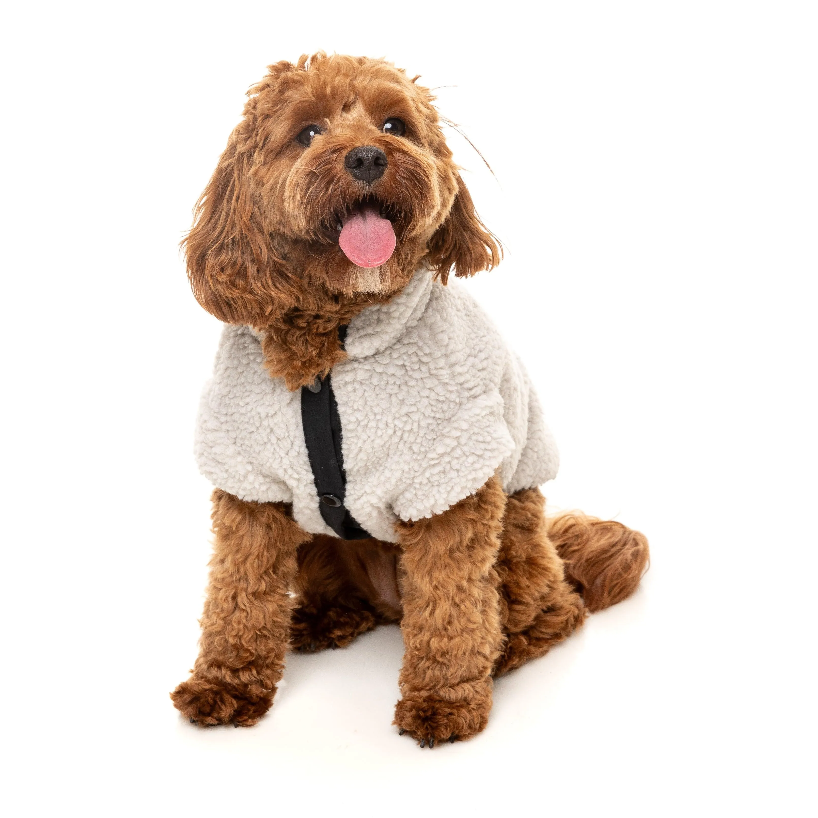 FuzzYard Dog Apparel Jacket Basecamp Stone Size 5