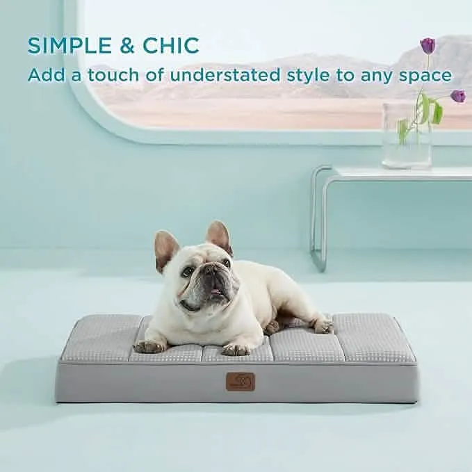 Large Orthopedic Washable Dog Bed S