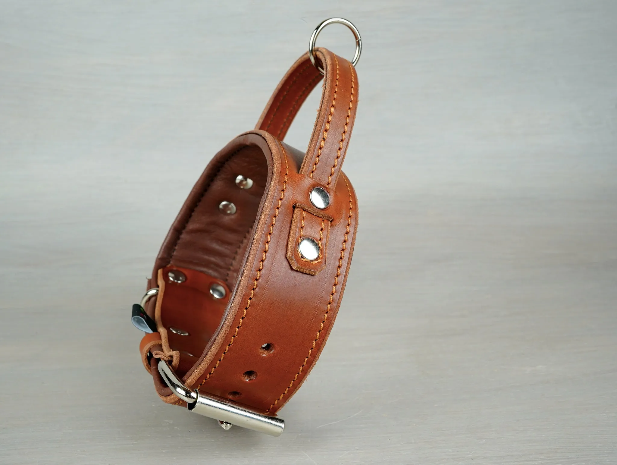 Padded Leather Dog Collar with Fixed Handle