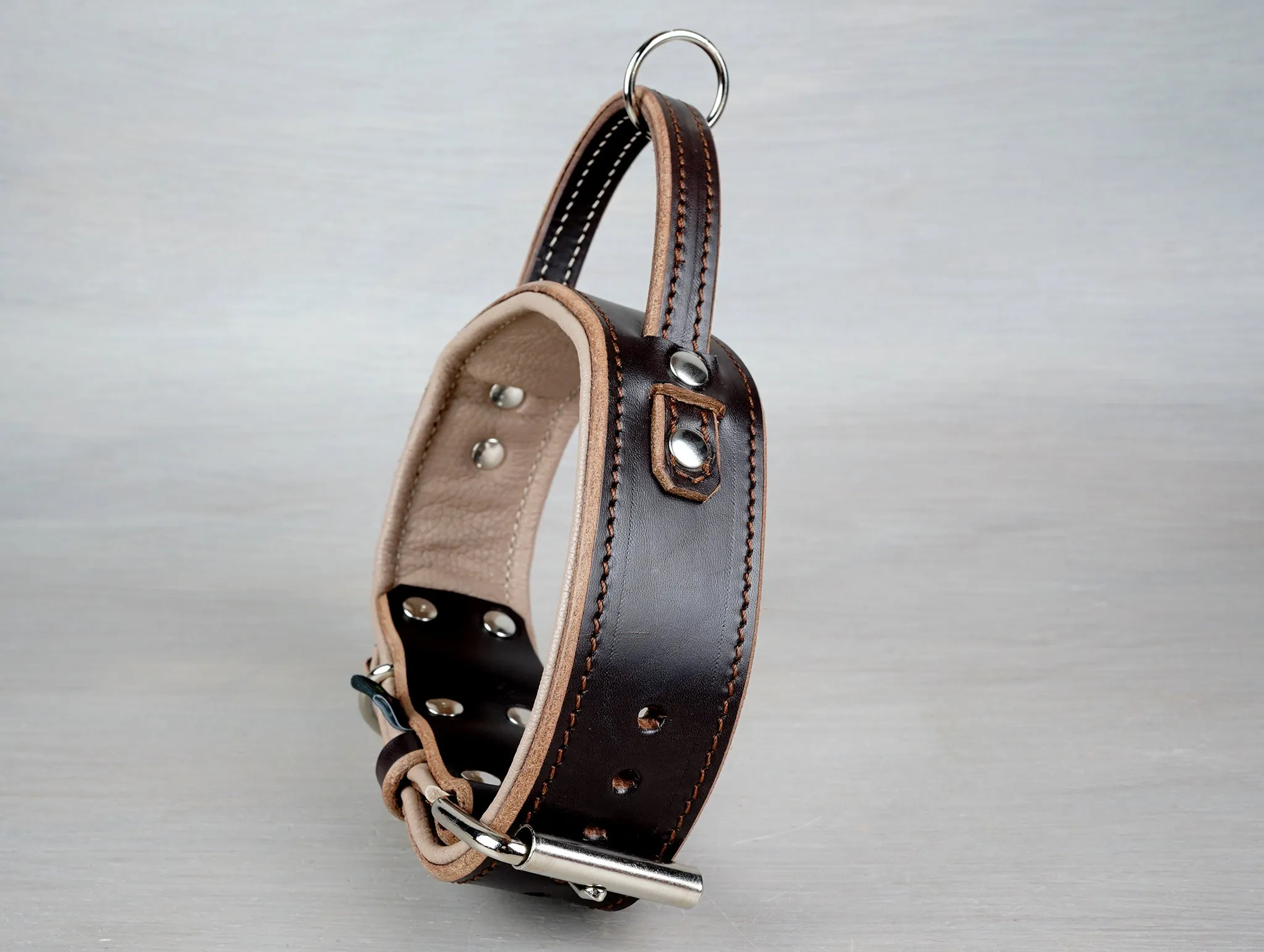 Padded Leather Dog Collar with Fixed Handle