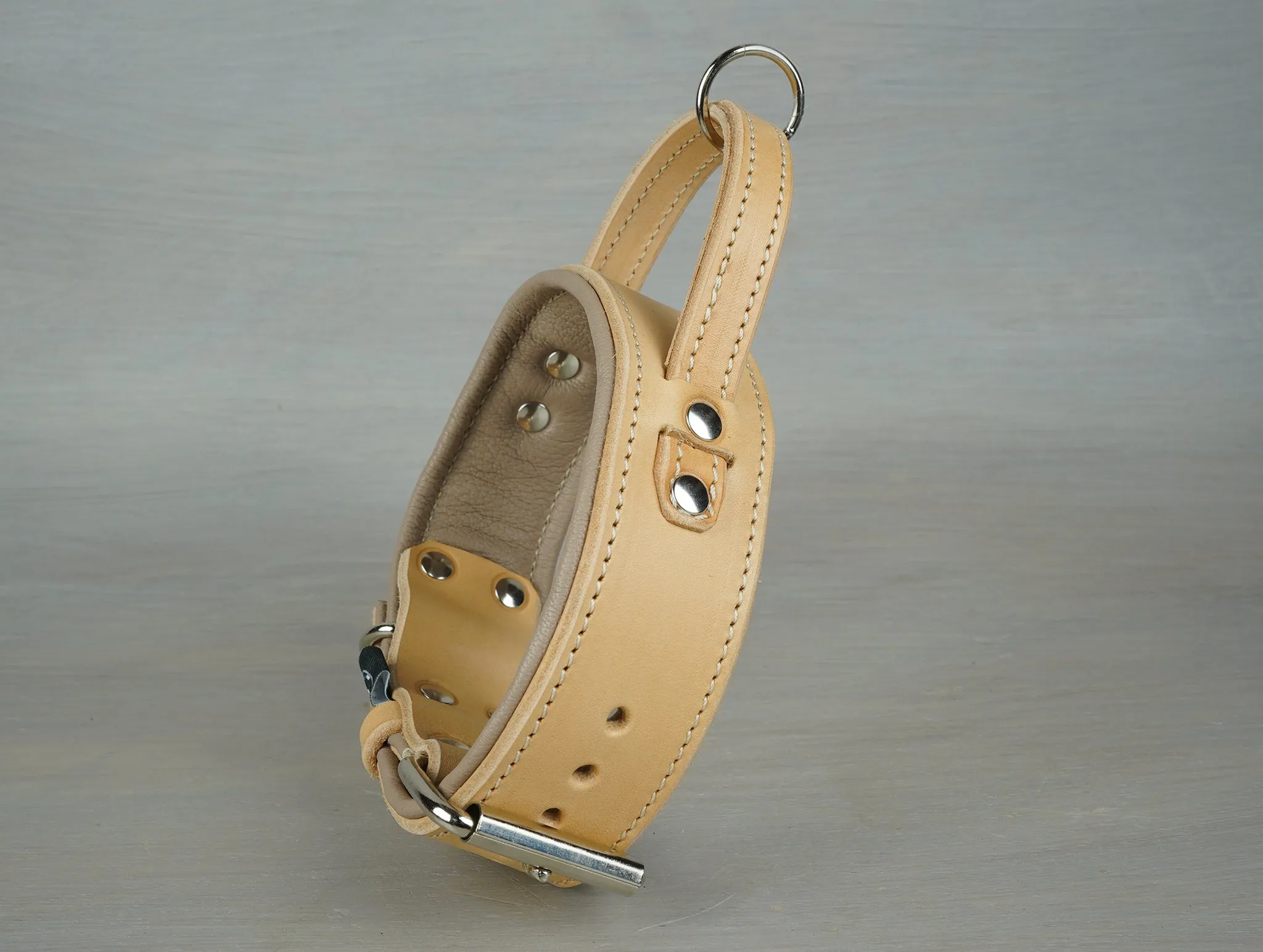 Padded Leather Dog Collar with Fixed Handle