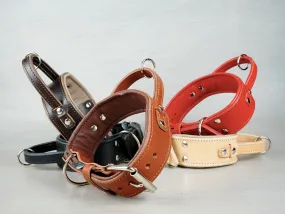 Padded Leather Dog Collar with Fixed Handle