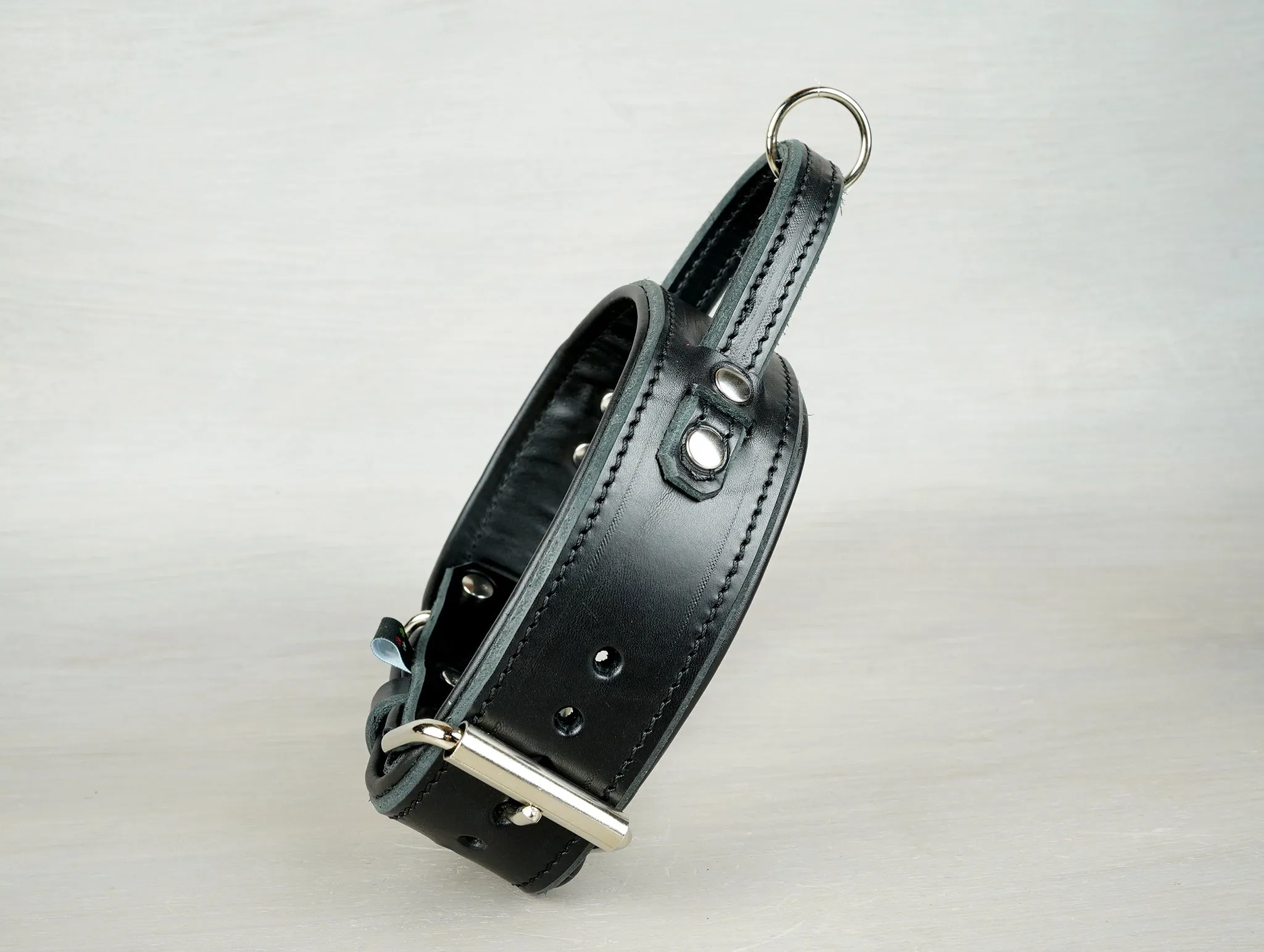 Padded Leather Dog Collar with Fixed Handle