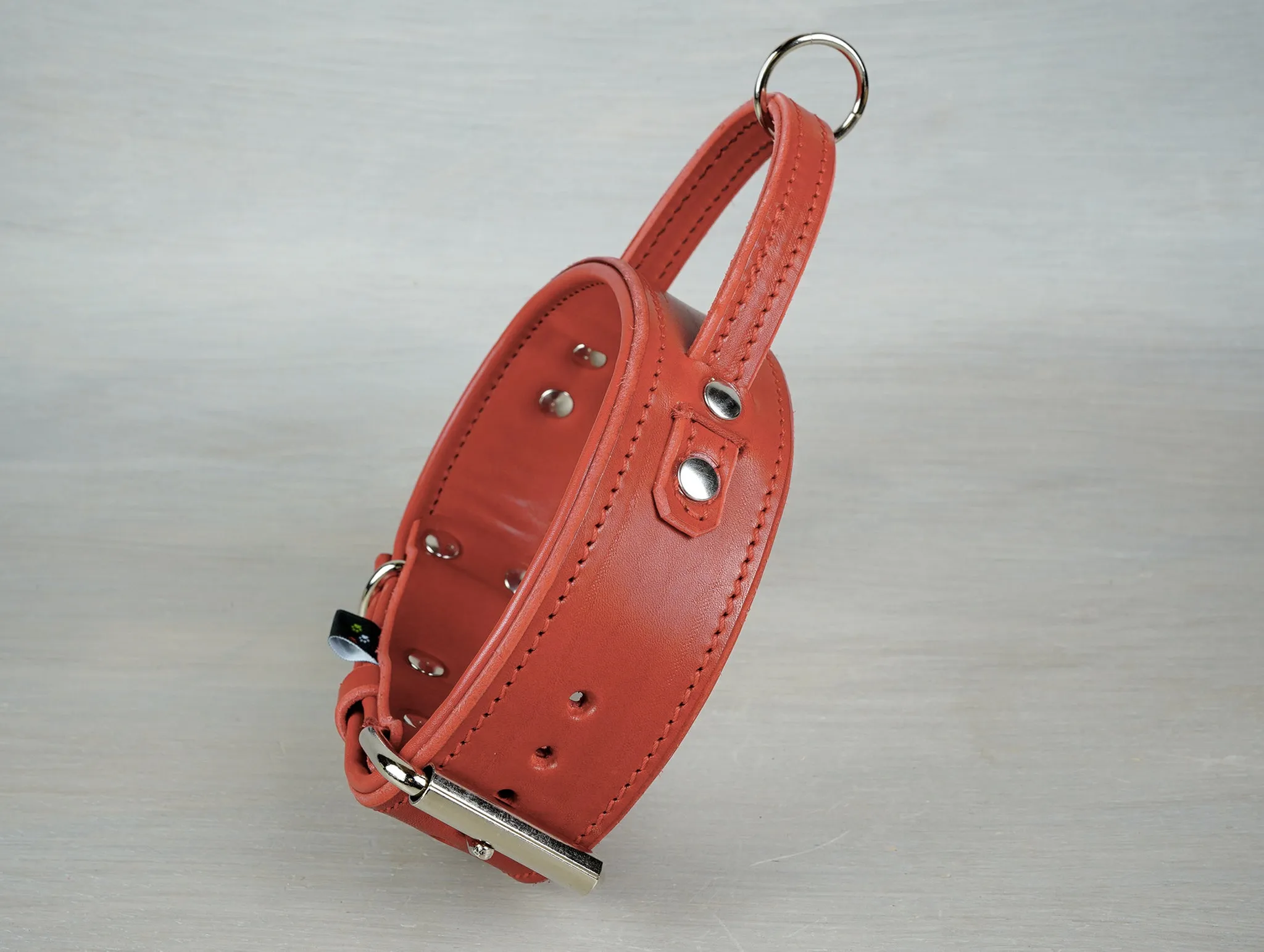 Padded Leather Dog Collar with Fixed Handle