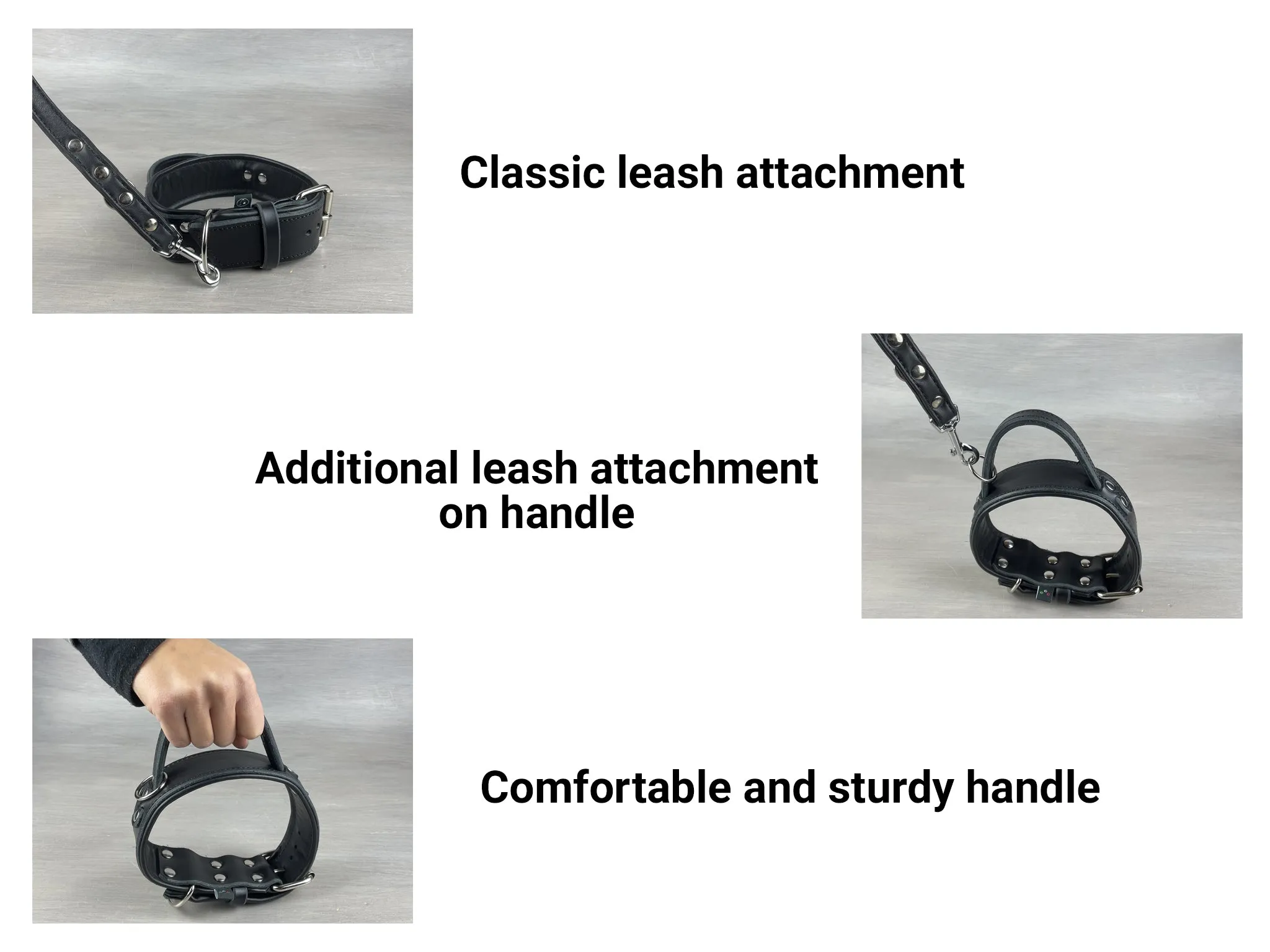 Padded Leather Dog Collar with Fixed Handle