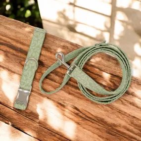 Sage Leafy Vines | Collar and Leash Set